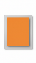 Signal Orange Print Transfer Set